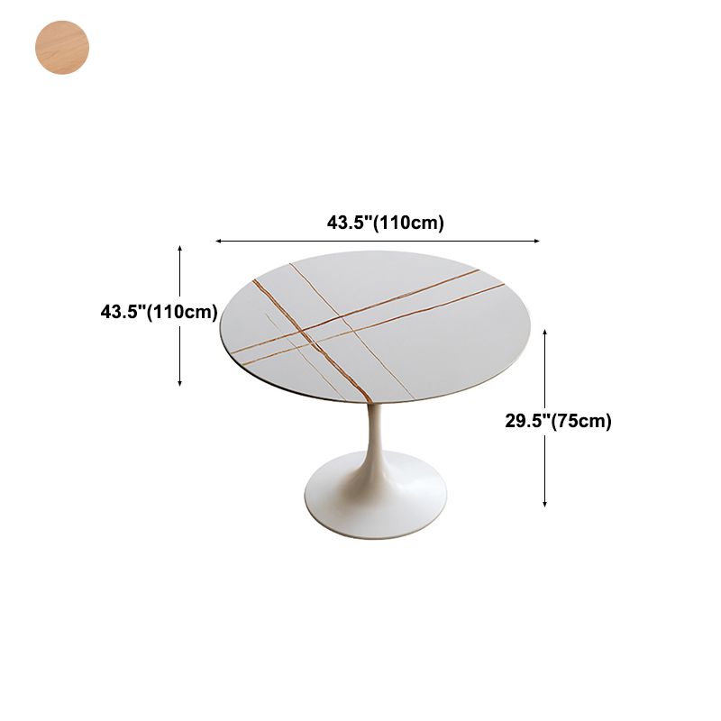 Round Top Dining Table Contemporary Table with Pedestal Base Clearhalo 'Dining Tables & Seating' 'Dining Tables' 'dining_table' 'Furniture' 'furniture_dining_table' 'Kitchen & Dining Furniture' 1200x1200_28f022d6-fbc5-4b21-9336-f3981b75fd26