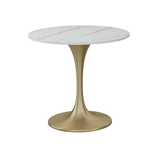 Glam 1/2/3/4/5 Pieces Sintered Stone Dining Set Dining Furniture Set /Separate Items Clearhalo 'Dining Room Sets' 'Dining Tables & Seating' 'dining_room_set' 'furn' 'furn_dining_room_set' 'Furniture' 'furniture_dining_room_set' 'Kitchen & Dining Furniture' 'kitchen&dining_furn' 'kitchen' 1200x1200_28fd4dfd-eef1-4007-99d8-12a4bca15b4a