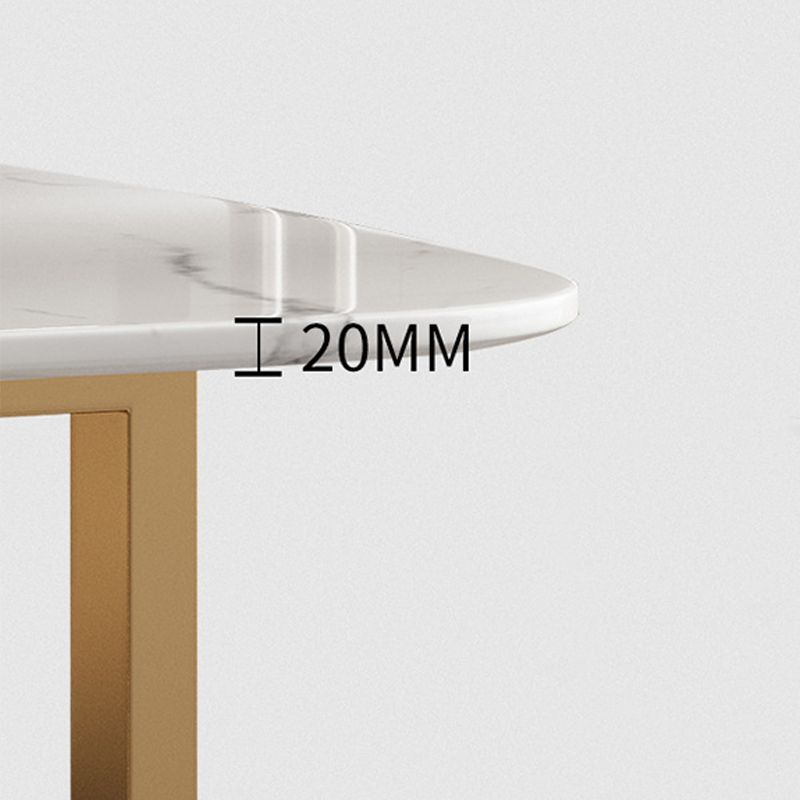 Traditional Luxury Metal Base Table Rectangle Dinner Table for Home Clearhalo 'Dining Tables & Seating' 'Dining Tables' 'dining_table' 'furn' 'furn_dining_table' 'Furniture' 'Kitchen & Dining Furniture' 1200x1200_291fce51-880d-4e4d-8d15-f9c6e5474410