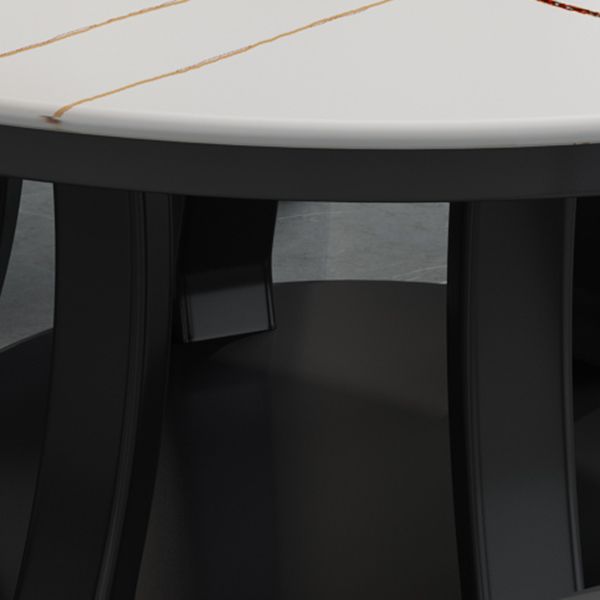 Contemporary Sintered Stone Round Dining Table Standard Kitchen Dining Table with Pedestal Base Clearhalo ' dining_table' 'Dining Tables & Seating' 'Dining Tables' 'furn' 'furn_dining_table' 'Furniture' 'furniture_dining_table' 'Kitchen & Dining Furniture' 'kitchen&dining_furn' 'kitchen' 'kitchen_dining_table' 1200x1200_293ef83b-632c-4885-a2d9-5d0be14a382d