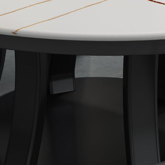Contemporary Sintered Stone Round Dining Table Standard Kitchen Dining Table with Pedestal Base