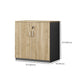 Contemporary Lateral Filing Cabinet Engineered Wood File Cabinet    with Storage