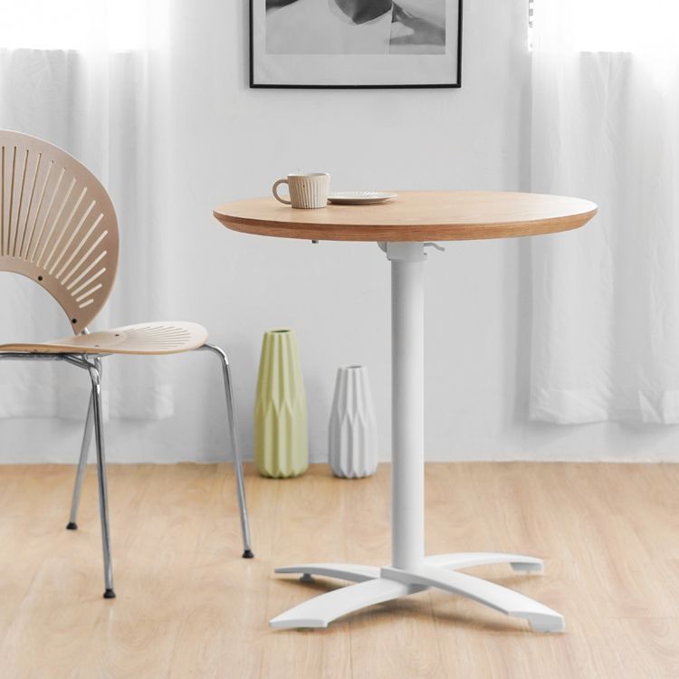 Metal Contemporary Round Dining Table Wood Top Dining Table with Pedestal Base Clearhalo ' dining_table' 'Dining Tables & Seating' 'Dining Tables' 'Furniture' 'furniture_dining_table' 'Kitchen & Dining Furniture' 'kitchen&dining_furn' 'kitchen' 'kitchen_dining_table' 1200x1200_29c2e425-e1b5-4872-a478-cec79d5b061a