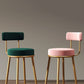 Glam Armless Backrest Counter Stool Iron Household Bar Stool with Velvet Cushion and Pedal Clearhalo 'Bar Furniture' 'Bar Stools' 'bar_stools' 'furn' 'furn_bar_stools' 'furniture_bar_stools' 'Kitchen & Dining Furniture' 'kitchen&dining_furn' 'kitchen' 'kitchen_furn' Furniture' 1200x1200_29d48fb9-a7ad-4370-ae46-26fb4c4cec66