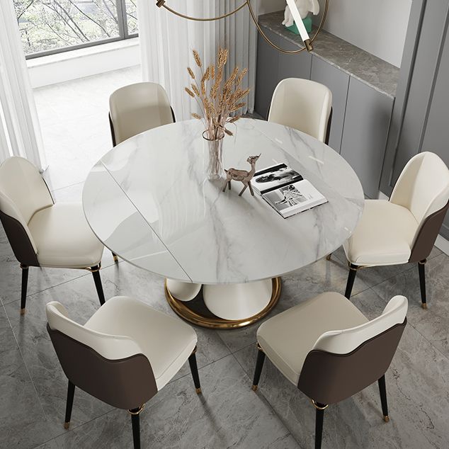Traditional Luxury Round Dining Table Sintered Stone Table with Pedestal Base Clearhalo ' dining_table' 'Dining Tables & Seating' 'Dining Tables' 'furn' 'furn_dining_table' 'Furniture' 'furniture_dining_table' 'Kitchen & Dining Furniture' 'kitchen&dining_furn' 'kitchen' 'kitchen_dining_table' 1200x1200_29e8fd16-76c1-4638-af05-d8acf60c1dd6