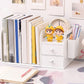 Modern Standard Plastic Bookcase Closed Back Bookshelf for Desk