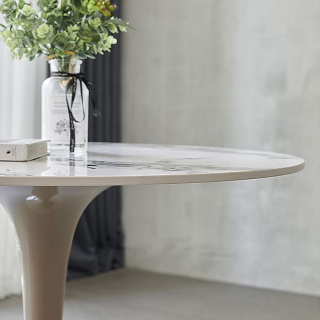 Round Shape White Dining Table Sintered Stone Table Modern with Tulip Base Clearhalo ' dining_table' 'Dining Tables & Seating' 'Dining Tables' 'furn' 'furn_dining_table' 'Furniture' 'furniture_dining_table' 'Kitchen & Dining Furniture' 'kitchen&dining_furn' 'kitchen' 'kitchen_dining_table' 1200x1200_2a1e6974-cf5f-474a-942f-ee5599cad519