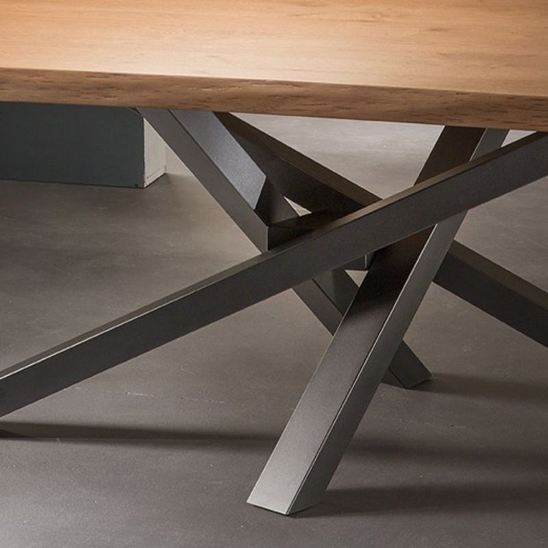 Rectangle Pedestal Luxury Dining Table Solid Wood Fixed Table for Home Clearhalo ' dining_table' 'Dining Tables & Seating' 'Dining Tables' 'furn' 'furn_dining_table' 'Furniture' 'furniture_dining_table' 'Kitchen & Dining Furniture' 'kitchen&dining_furn' 'kitchen' 'kitchen_dining_table' 1200x1200_2aadb718-64f4-49ac-b616-4168702d9a93