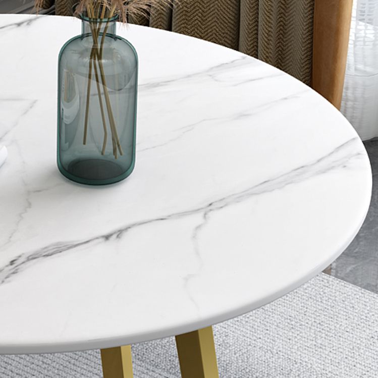 Contemporary Round Dining Table Sintered Stone Dining Table for Dining Room Clearhalo ' dining_table' 'Dining Tables & Seating' 'Dining Tables' 'furn' 'furn_dining_table' 'Furniture' 'furniture_dining_table' 'Kitchen & Dining Furniture' 'kitchen&dining_furn' 'kitchen' 'kitchen_dining_table' 1200x1200_2af23068-9ecf-4006-8942-6daa3b15d322