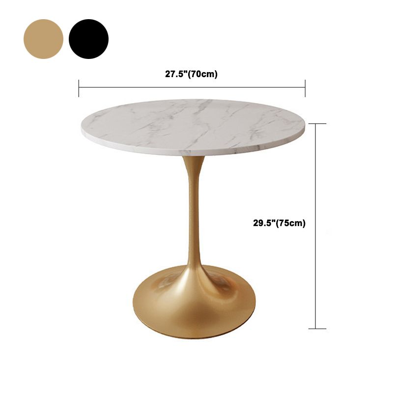 Glam Style Sintered Stone Dining Set Round 1/2/5 Pieces Dining Set Clearhalo 'Dining Room Sets' 'Dining Tables & Seating' 'dining_room_set' 'furn' 'furn_dining_room_set' 'Furniture' 'Kitchen & Dining Furniture' 1200x1200_2b01a122-8865-4cf3-b7a7-f82635469da3