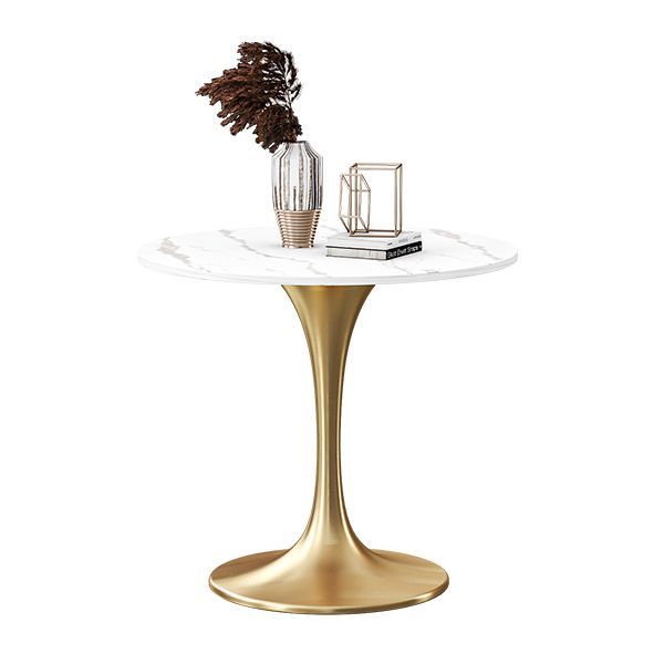 Sintered Stone Modern Style Dining Table Round White Table with Tulip Base Clearhalo ' dining_table' 'Dining Tables & Seating' 'Dining Tables' 'furn' 'furn_dining_table' 'Furniture' 'furniture_dining_table' 'Kitchen & Dining Furniture' 'kitchen&dining_furn' 'kitchen' 'kitchen_dining_table' 1200x1200_2b4f7f36-cb0a-44a6-9d10-9f0943c19972