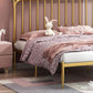 Contemporary Standard Bed with Headboard Open-Frame Metal Bed