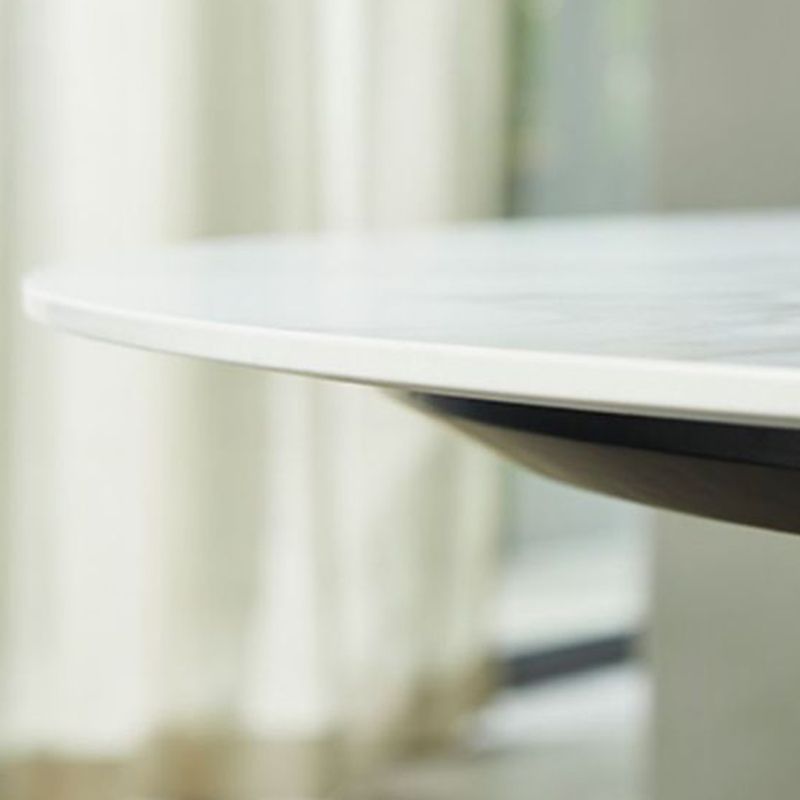 Glam Dining Round Table Sintered Stone Table with Metal Legs for Home Clearhalo 'Dining Tables & Seating' 'Dining Tables' 'dining_table' 'furn' 'furn_dining_table' 'Furniture' 'Kitchen & Dining Furniture' 1200x1200_2b7641a9-5b92-4fb5-b27b-0487170ce52b