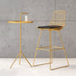 Glam Iron Upholstered Bar Stool Armless Backrest Stool for Bristol