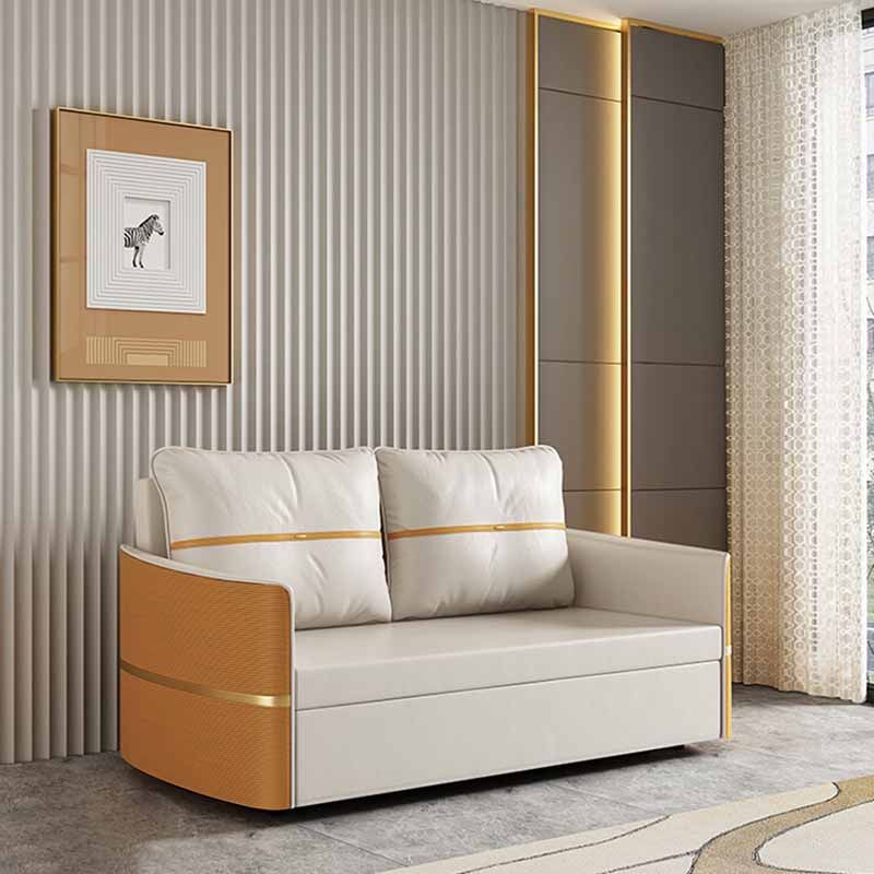 Faux Leather Convertible Sofa Bed with Pillows Seating with Storage Clearhalo 'furn' 'furn_sofas' 'Furniture' 'Living Room Furniture' 'Sofa' 'sofas' 1200x1200_2b9c3872-272f-439f-bb1d-52b1404b8330