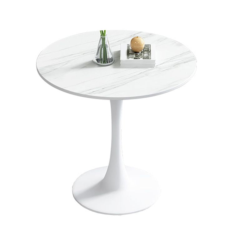 Simplicity Round Dining Room Table Sintered Stone Table with Tulip Base Clearhalo ' dining_table' 'Dining Tables & Seating' 'Dining Tables' 'furn' 'furn_dining_table' 'Furniture' 'furniture_dining_table' 'Kitchen & Dining Furniture' 'kitchen&dining_furn' 'kitchen' 'kitchen_dining_table' 1200x1200_2c03583b-c762-4688-89c0-9fbebeecf4de