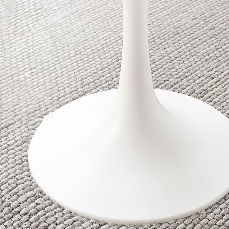 Metal Modern Round Table Sintered Stone Table for Kitchen and Dining Room Clearhalo ' dining_table' 'Dining Tables & Seating' 'Dining Tables' 'furn' 'furn_dining_table' 'Furniture' 'furniture_dining_table' 'Kitchen & Dining Furniture' 'kitchen&dining_furn' 'kitchen' 'kitchen_dining_table' 1200x1200_2c2bce2a-70bf-4e02-855d-967e6060da60