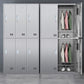 Silver Metal Cabinet with Hinged Doors Modern Steel Storage Cabinet for Home
