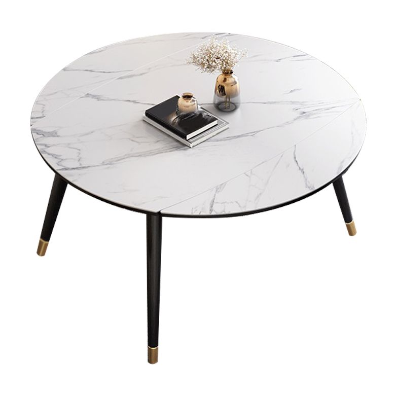 Contemporary Extendable Sintered Stone Table Round Shape Standard Dining Table for Kitchen Clearhalo ' dining_table' 'Dining Tables & Seating' 'Dining Tables' 'furn' 'furn_dining_table' 'Furniture' 'furniture_dining_table' 'Kitchen & Dining Furniture' 'kitchen&dining_furn' 'kitchen' 'kitchen_dining_table' 1200x1200_2c3ff13d-0cb9-404a-ad10-295a0932ab59