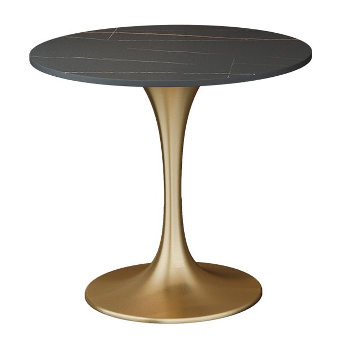 Contemporary 1/2/3/4/5 Pieces Dining Set Sintered Stone Dining Table for Kitchen Clearhalo 'Dining Room Sets' 'Dining Tables & Seating' 'dining_room_set' 'Furniture' 'furniture_dining_room_set' 'Kitchen & Dining Furniture' 'kitchen&dining_furn' 'kitchen' 1200x1200_2cacf3a6-8830-4b20-900b-d63c9de92f49