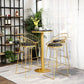 Glam 1/2/3/4/5 Pieces Round Bar Table Set Fixed Table Counter Set for Dining Room Clearhalo 'Bar Furniture' 'furn' 'furn_home_bar_bar_sets' 'Furniture' 'Home Bars & Bar Sets' 'home_bar_bar_sets' 'Kitchen & Dining Furniture' 1200x1200_2cdcd31c-2450-47e5-ba45-8642223dc2f9