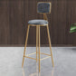 Glam Armless Backrest Counter Stool Steel Cashier Bar Stool with Flannel Cushion and Pedal Clearhalo 'Bar Furniture' 'Bar Stools' 'bar_stools' 'furn' 'furn_bar_stools' 'Furniture' 'furniture_bar_stools' 'Kitchen & Dining Furniture' 1200x1200_2d06aa55-3bfe-4fee-844e-3bb4c6f0a7bc