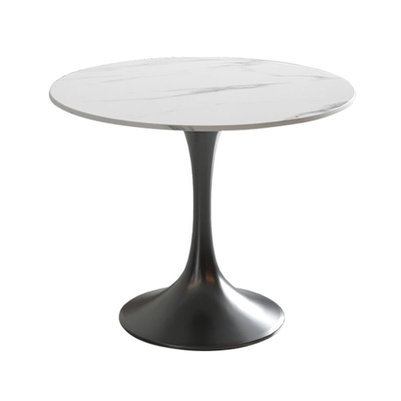 Traditional Luxury Dining Table Round Sintered Stone Dining Table with Tulip Base Clearhalo ' dining_table' 'Dining Tables & Seating' 'Dining Tables' 'furn' 'furn_dining_table' 'Furniture' 'furniture_dining_table' 'Kitchen & Dining Furniture' 'kitchen&dining_furn' 'kitchen' 'kitchen_dining_table' 1200x1200_2d189801-d05a-44e7-b3bc-ba76d344c692