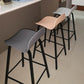 Contemporary Indoor Low Back Armless Bar Stools with Metal Legs