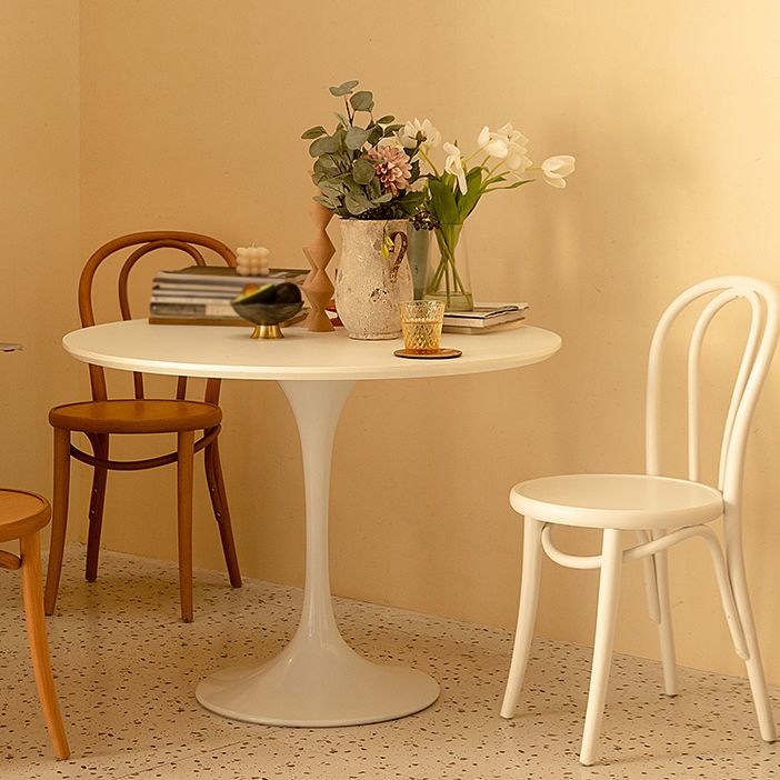 Round Tulip Base Modern Dining Table White Fixed Table with Sintered Stone Clearhalo ' dining_table' 'Dining Tables & Seating' 'Dining Tables' 'furn' 'furn_dining_table' 'Furniture' 'furniture_dining_table' 'Kitchen & Dining Furniture' 'kitchen&dining_furn' 'kitchen' 'kitchen_dining_table' 1200x1200_2d36951a-7af6-4e77-bb74-7210f05447cd