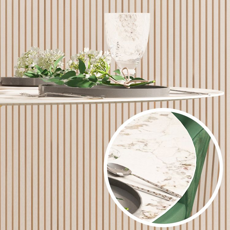 Sintered Stone Top Dining Table in White for Restaurant Modern Round Table with Metal Pedestal Clearhalo ' dining_table' 'Dining Tables & Seating' 'Dining Tables' 'furn' 'furn_dining_table' 'Furniture' 'furniture_dining_table' 'Kitchen & Dining Furniture' 'kitchen&dining_furn' 'kitchen' 'kitchen_dining_table' 1200x1200_2d488cd5-d1b9-4909-ade6-617c63f0da95