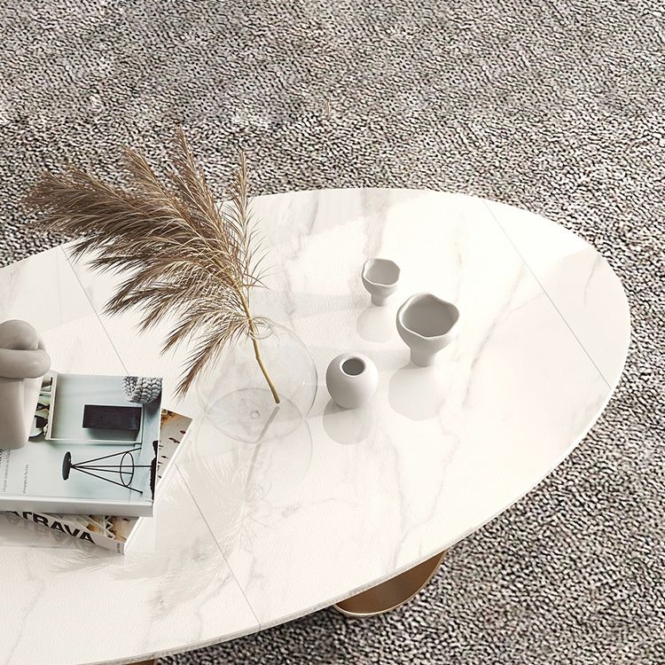 1 Slate Coffee Table Oval Modern Minimalist Coffee Table for Living Room Clearhalo 'Coffee & Accent Tables' 'Coffee Tables' 'coffee_tables' 'furn' 'furn_coffee_tables' 'Furniture' 'Living Room Furniture' 1200x1200_2d5ed4ad-e67e-46af-81dd-1592e82f5ebd