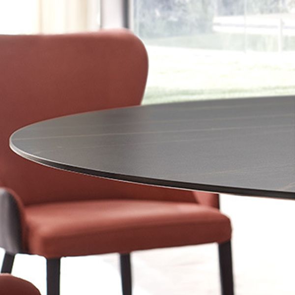 Round Sintered Stone Dining Table Modern Furniture with Pedestal Base for Home Clearhalo 'Dining Tables & Seating' 'Dining Tables' 'dining_table' 'furn' 'furn_dining_table' 'Furniture' 'Kitchen & Dining Furniture' 1200x1200_2d6aa328-9b13-4b0b-a97c-6deccdffc12b