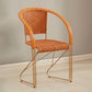 Mid-centuryl Modern Style Arms Included Woven Back Sled Accent Armchair