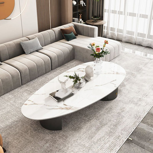 Mesa de café de una sola mesa de 2 patas mesa de café ovalado con almacenamiento