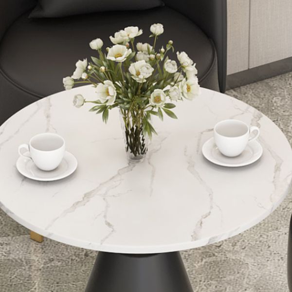 Luxury Sintered Stone Top Dining Table Indoor Round Table with Metal Pedestal Clearhalo 'Dining Tables & Seating' 'Dining Tables' 'dining_table' 'furn' 'furn_dining_table' 'Furniture' 'furniture_dining_table' 'Kitchen & Dining Furniture' 'kitchen' 'kitchen_dining_table' 1200x1200_2deecfc7-d139-46c1-b17f-3038a9b2c7ff