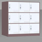 Indoor Non-Hanging Cabinet Contemporary Hinged Door Storage Cabinet