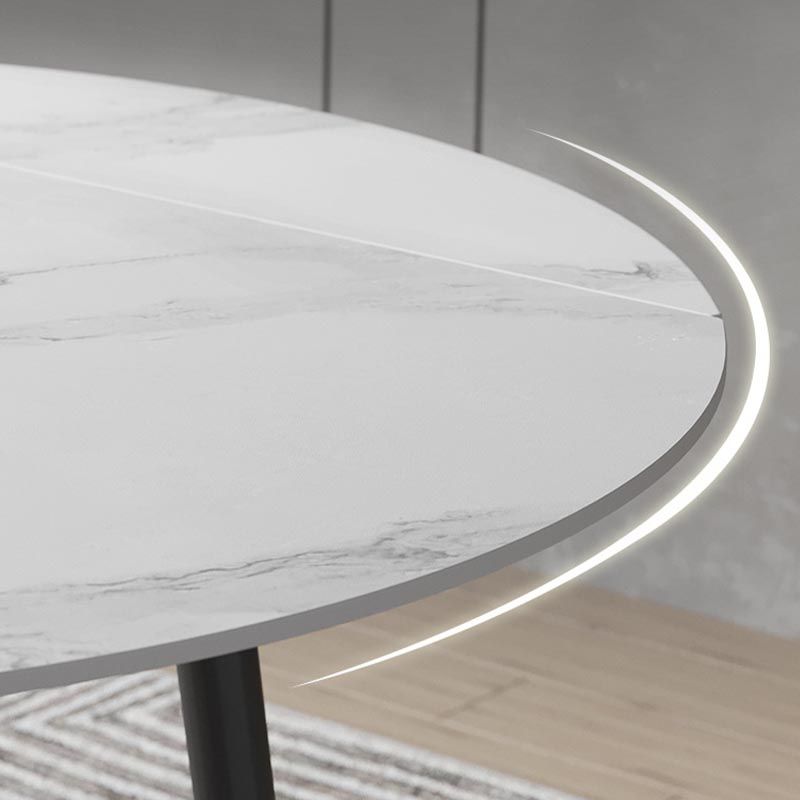 Stone Contemporary Round Dinner Table Matte Finish 4 Legs Table for Home Clearhalo ' dining_table' 'Dining Tables & Seating' 'Dining Tables' 'furn' 'furn_dining_table' 'Furniture' 'furniture_dining_table' 'Kitchen & Dining Furniture' 'kitchen&dining_furn' 'kitchen' 'kitchen_dining_table' 1200x1200_2e900e2d-1090-4713-b628-7f1ac996a5a8