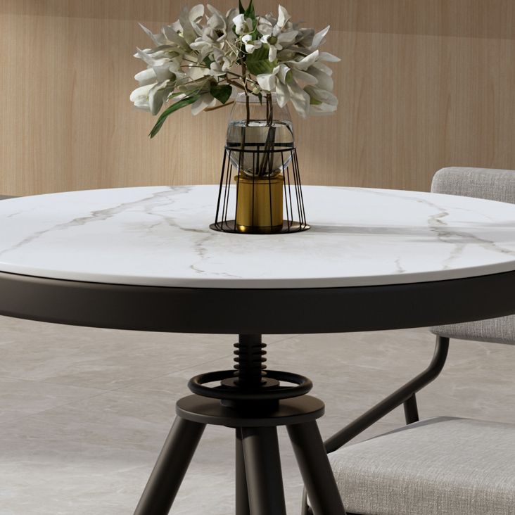 Modern Style Home Sintered Stone Dining Table Round Shape Table with Single Pedestal Base Clearhalo ' dining_table' 'Dining Tables & Seating' 'Dining Tables' 'furn' 'furn_dining_table' 'Furniture' 'furniture_dining_table' 'Kitchen & Dining Furniture' 'kitchen&dining_furn' 'kitchen' 'kitchen_dining_table' 1200x1200_2f2eaef9-4b5b-420f-ab54-0cb1dfcbc6b6