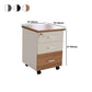 Contemporary Style Vertical Filing Cabinet Wood Filing Cabinet with Locking Storage Clearhalo 'Filing Cabinets' 'filling_cabinets' 'furn' 'furn_filling_cabinets' 'Furniture' 'Office Furniture' 1200x1200_2f34b098-7f92-4864-aa21-cfae1aa00c5c