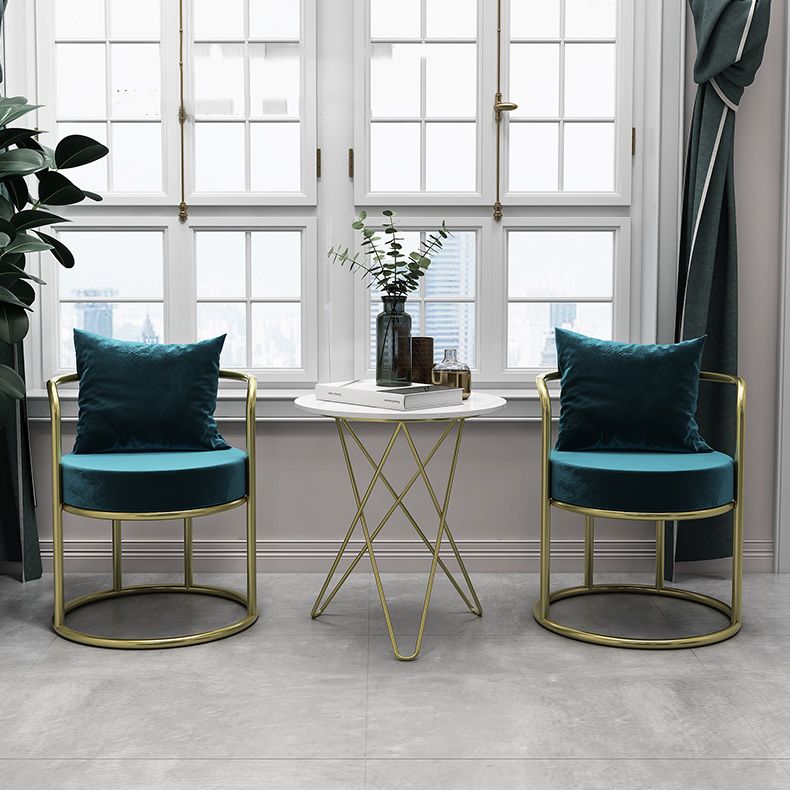 Nordic Style Metal Dining Room Chairs Velvet Dining Chair for Restaurant Use Clearhalo ' kitchen&dining_furn' 'Dining Chairs' 'Dining Tables & Seating' 'dining_chair' 'furn' 'furn_dining_chair' 'Furniture' 'furniture_dining_chair' 'Kitchen & Dining Furniture' 'kitchen' 1200x1200_2f491875-5491-422c-9586-70f18c9f3f94