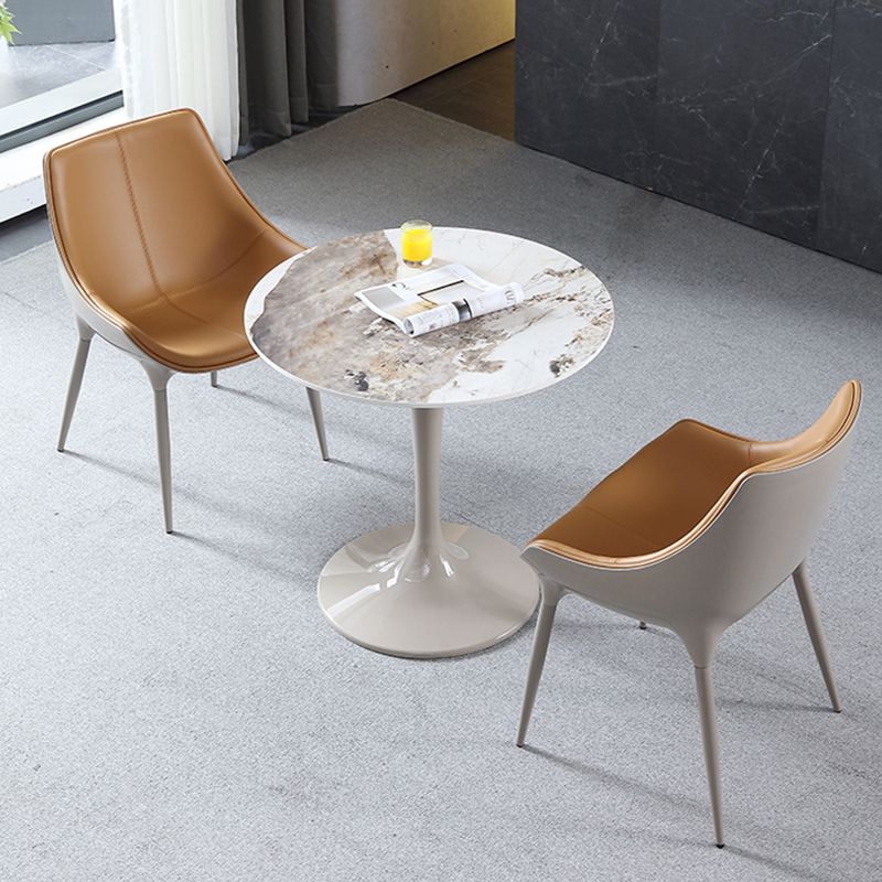 Round Contemporary Dining Table Brown Tone Fixed Table of Sintered Stone Clearhalo ' dining_table' 'Dining Tables & Seating' 'Dining Tables' 'furn' 'furn_dining_table' 'Furniture' 'furniture_dining_table' 'Kitchen & Dining Furniture' 'kitchen&dining_furn' 'kitchen' 'kitchen_dining_table' 1200x1200_2f670735-cb2d-4194-a5c3-35830d489399