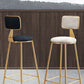 Glam Gold Legs Bar Stools Living Room Upholstered Counter Chair Clearhalo 'Bar Furniture' 'Bar Stools' 'bar_stools' 'furn' 'furn_bar_stools' 'Furniture' 'Kitchen & Dining Furniture' 1200x1200_2fc89f60-72e4-48c8-bbfb-74f148198cd2