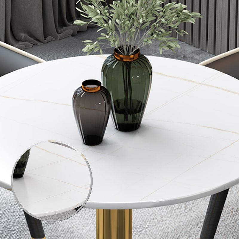 Glam Style Sintered Stone Dining Set Round 1/2/3/4/5 Pieces Dining Table Set Clearhalo 'Dining Room Sets' 'Dining Tables & Seating' 'dining_room_set' 'furn' 'furn_dining_room_set' 'Furniture' 'Kitchen & Dining Furniture' 1200x1200_2ff107aa-4a8d-4cca-b98f-0c28e267120a