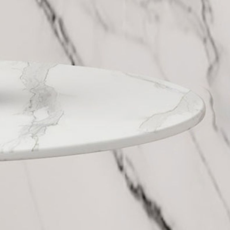 Contemporary Style Stone Dining Table Round Pedestal Table for Dining Room Clearhalo ' dining_table' 'Dining Tables & Seating' 'Dining Tables' 'furn' 'furn_dining_table' 'Furniture' 'furniture_dining_table' 'Kitchen & Dining Furniture' 'kitchen&dining_furn' 'kitchen' 'kitchen_dining_table' 1200x1200_301efaaa-6533-45e7-a75e-b2bfdbc055c8