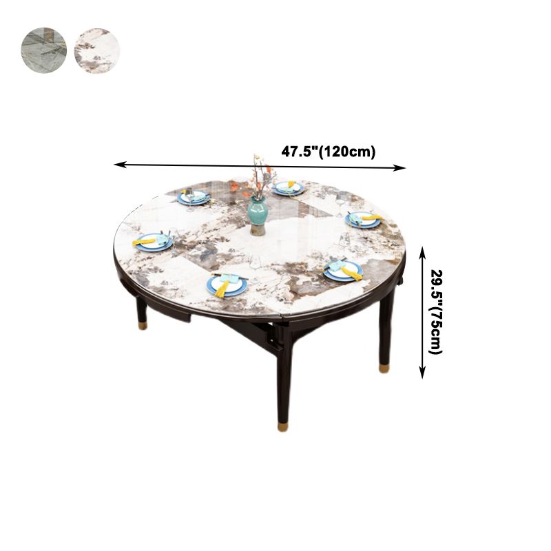 Glam Round Sintered Stone Table Extendable Standard Dining Table for Kitchen Clearhalo ' dining_table' 'Dining Tables & Seating' 'Dining Tables' 'furn' 'furn_dining_table' 'Furniture' 'furniture_dining_table' 'Kitchen & Dining Furniture' 'kitchen&dining_furn' 'kitchen' 'kitchen_dining_table' 1200x1200_30348387-68aa-4aed-91d7-14b73fe17fb5