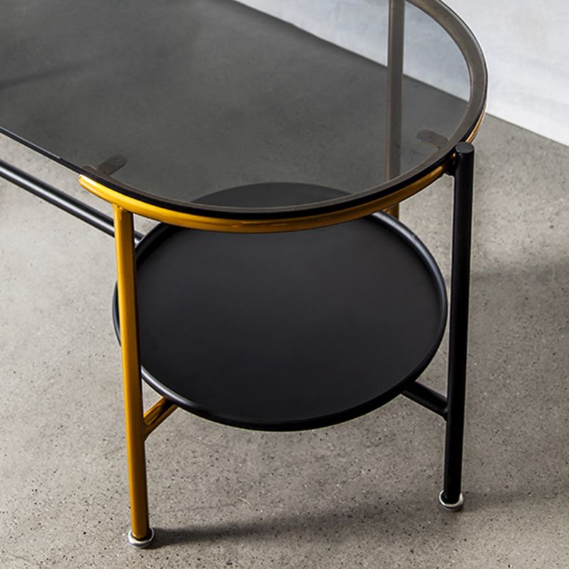 Modernism Elliptical Glass Top Coffee Cocktail Table with Shelf Clearhalo 'Coffee & Accent Tables' 'Coffee Tables' 'coffee_tables' 'furn' 'furn_coffee_tables' 'Furniture' 'Living Room Furniture' 1200x1200_303c75d0-9216-49d6-83e1-e93d124185c1