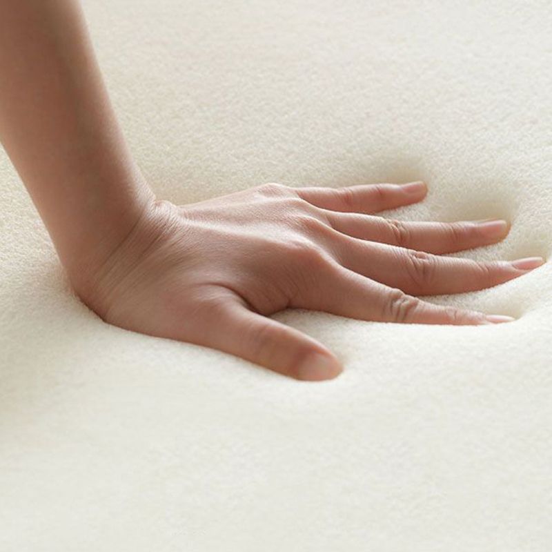 Velvet Contemporary Standard Sofa Armless Sofa for Living Room, Apartment Clearhalo 'furn' 'furn_sofas' 'Furniture' 'Living Room Furniture' 'Sofa' 'sofas' 1200x1200_30865ec6-7a09-45a0-847b-757402f252fb