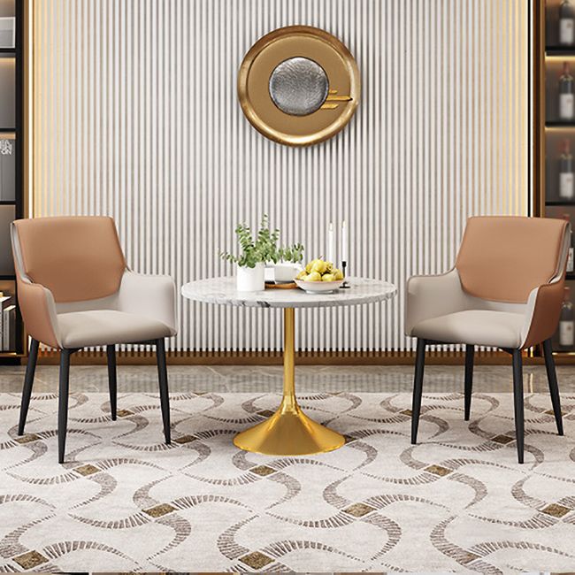 Scandinavian Home Arm Chair Metal Solid Back Upholstered Dining Room Chair Clearhalo ' kitchen&dining_furn' 'Dining Chairs' 'Dining Tables & Seating' 'dining_chair' 'furn' 'furn_dining_chair' 'Furniture' 'furniture_dining_chair' 'Kitchen & Dining Furniture' 'kitchen' 1200x1200_30886da9-8457-4cf3-ba3a-fdd37556ddcb