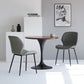 Contemporary Style Kitchen Dining Chair Metal Dining Wingback Armless Side Chairs Clearhalo ' kitchen&dining_furn' 'Dining Chairs' 'Dining Tables & Seating' 'dining_chair' 'furn' 'furn_dining_chair' 'Furniture' 'furniture_dining_chair' 'Kitchen & Dining Furniture' 'kitchen' 1200x1200_30d4a199-b3dc-4cc2-85c6-03d966385e56