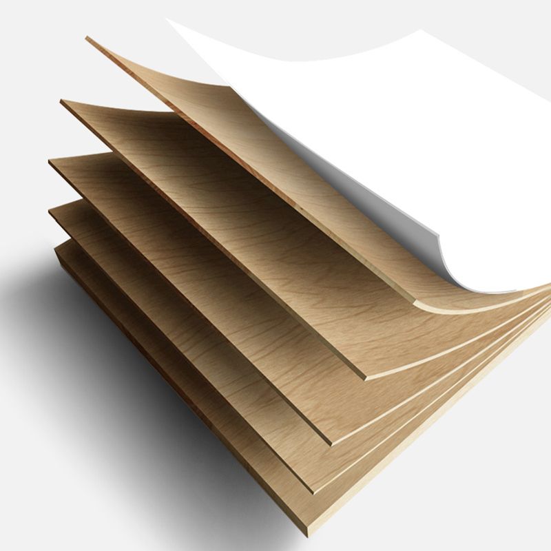 Modern Enclosed TV Storage Home Rectangle TV Cabinet with Splayed Legs Clearhalo 'furn' 'furn_tv_stands_entertainment_centers' 'Furniture' 'Living Room Furniture' 'TV Stands & Entertainment Centers' 'TV Stands & Media Storage Furniture' 'tv_stands_entertainment_centers' 1200x1200_30eaa0e9-76ee-48e6-b3a6-97fa25ecd1e1